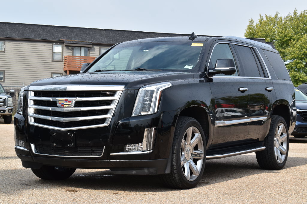 Used 2019 Cadillac Escalade Luxury AWD/4WD image 1
