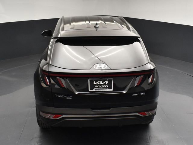 Used 2023 Hyundai Tucson Blue AWD/4WD image 44