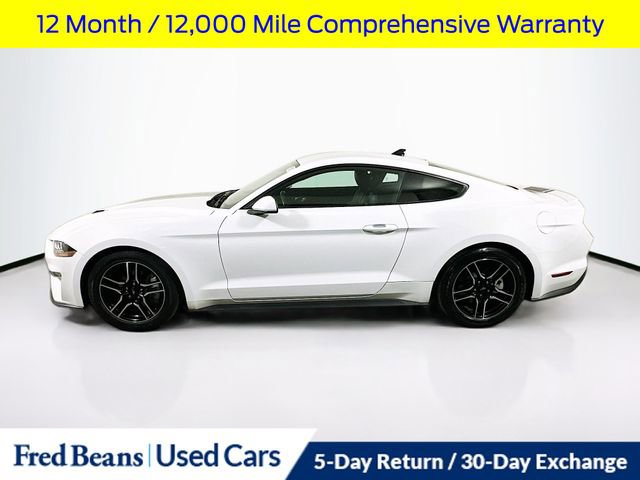 Certified 2023 Ford Mustang Premium image 5