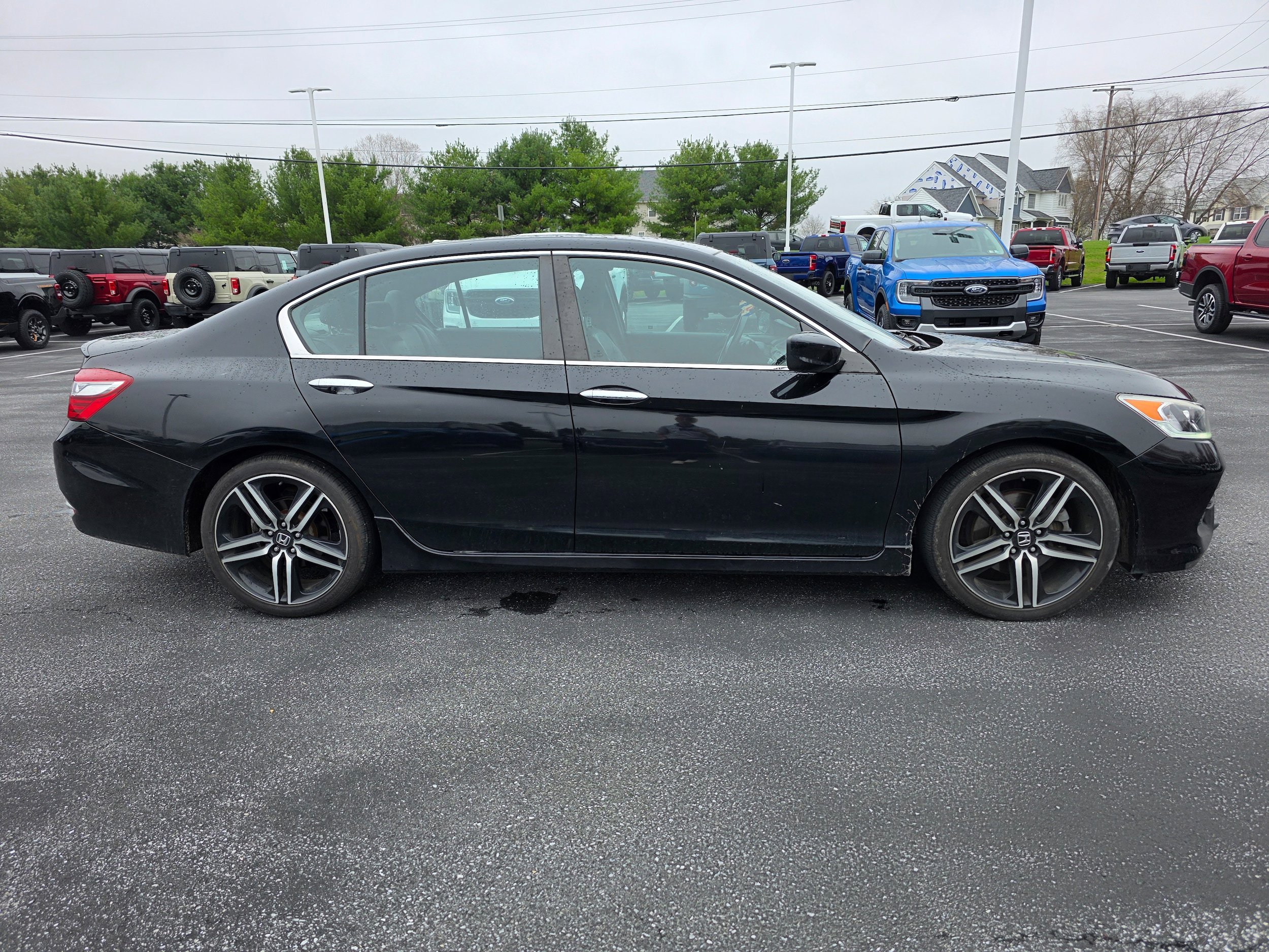 Used 2017 Honda Accord Sport Special Edition image 6