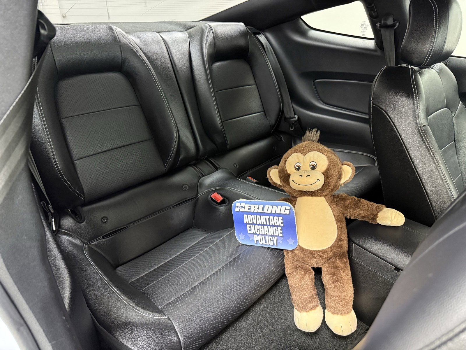 Used 2018 Ford Mustang Premium image 22