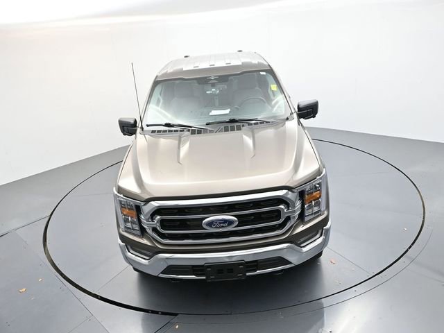 Used 2023 Ford F150 XLT w/ Equipment Group 302A High AWD/4WD image 20