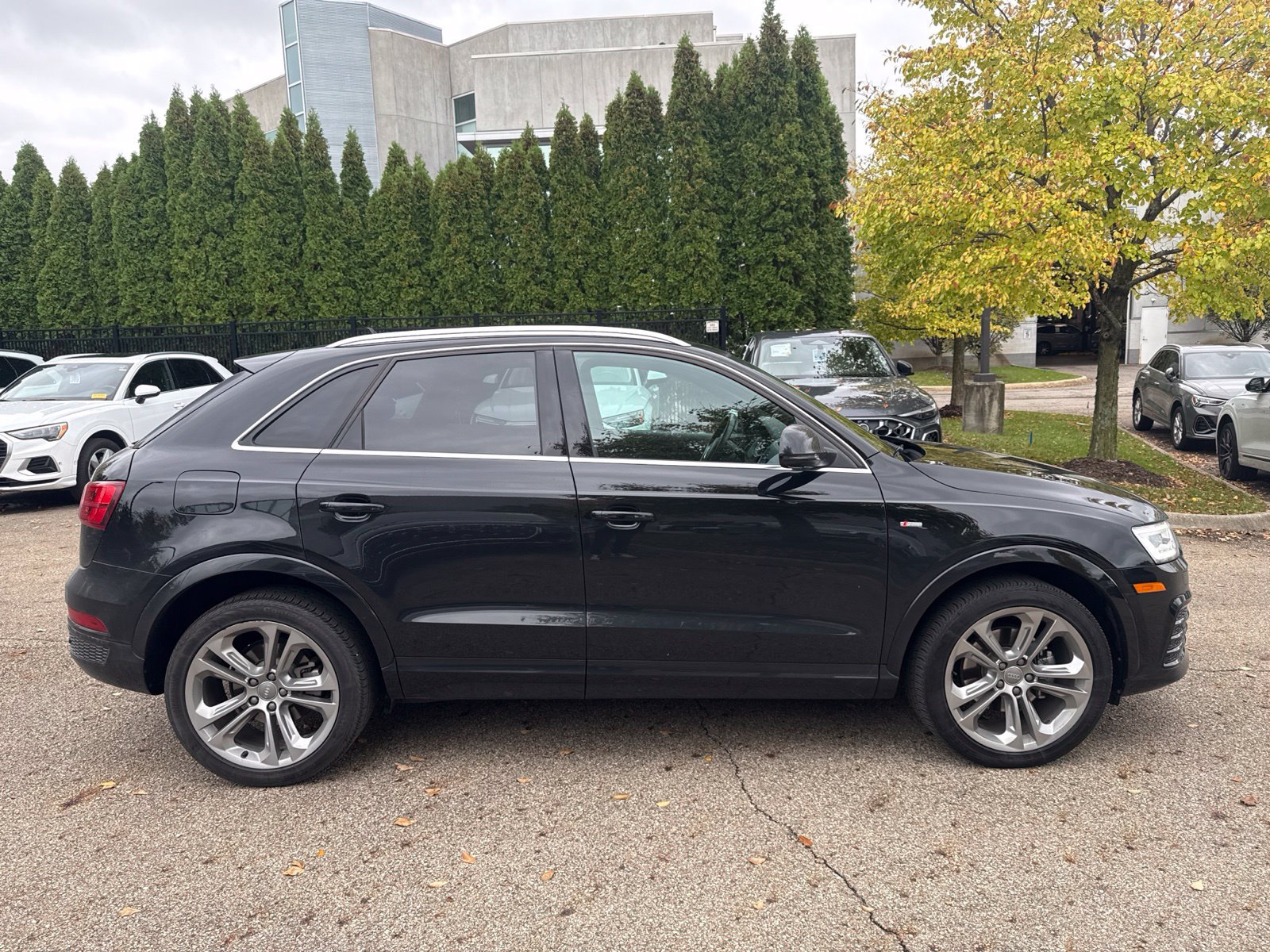 Used 2016 Audi Q3 2.0T Prestige w/ Prestige Package AWD/4WD image 6