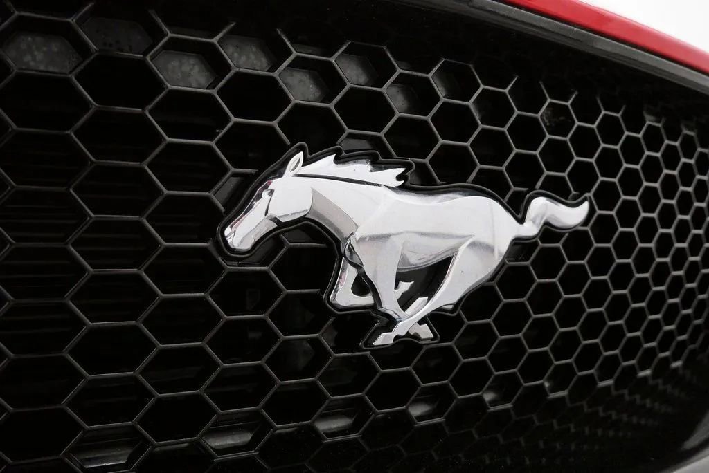 Used 2019 Ford Mustang GT Premium w/ Equipment Group 401A RWD image 9
