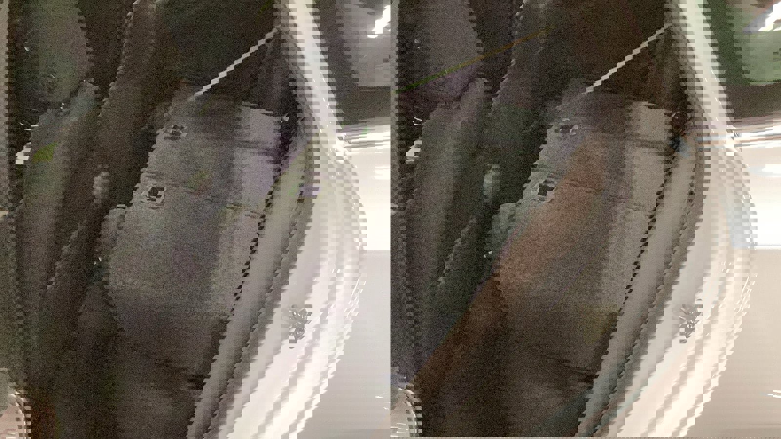 Used 2024 Chevrolet Malibu RS image 9