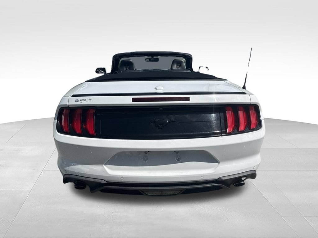 Used 2019 Ford Mustang Premium w/ Black Accent Package RWD image 3