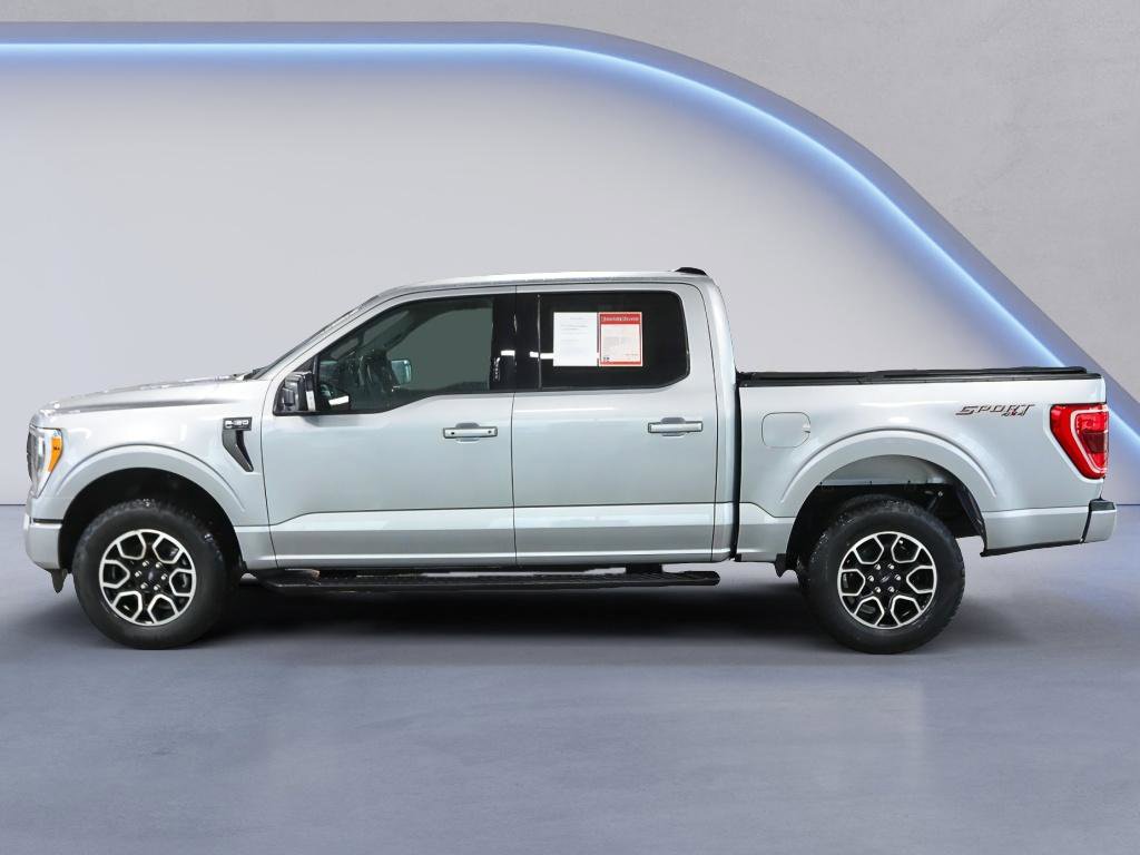 Used 2023 Ford F150 XLT w/ Equipment Group 302A High image 3