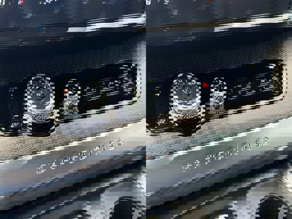 New 2025 Ford Expedition Platinum w/ Stealth Performance Package image 14