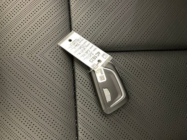 New 2026 Cadillac Vistiq Platinum image 41