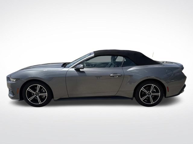 Used 2024 Ford Mustang Premium RWD image 7