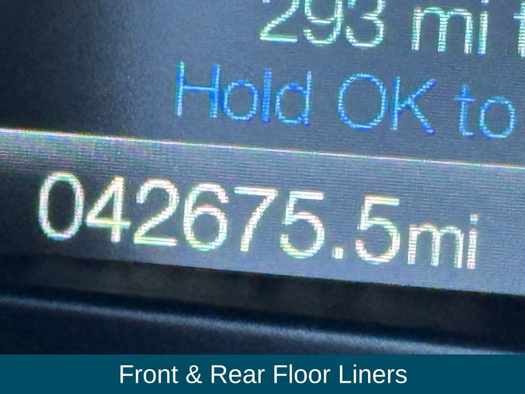 Used 2019 Ford Edge SEL w/ Equipment Group 201A image 15