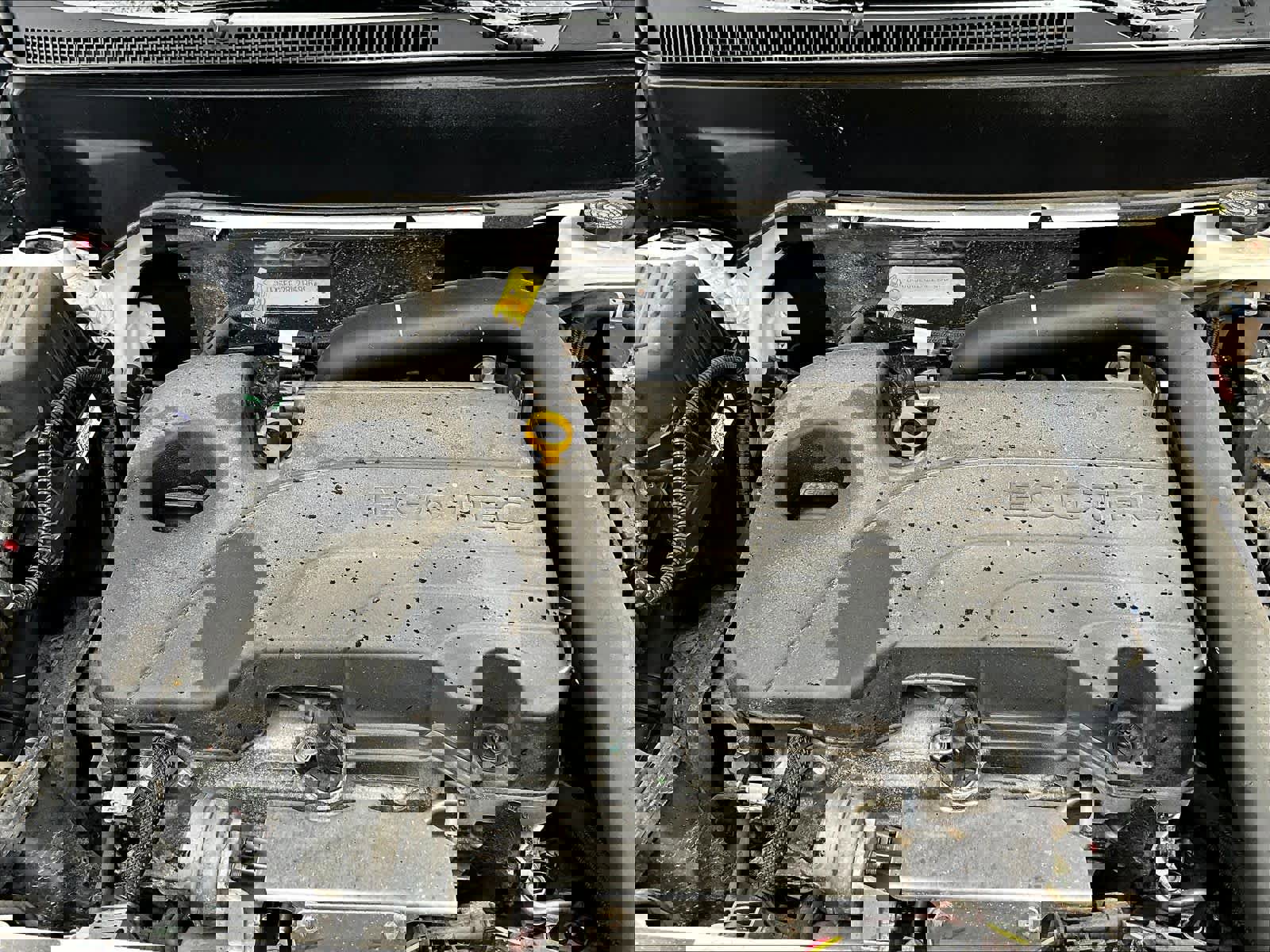 Used 2024 Chevrolet Equinox LS image 32