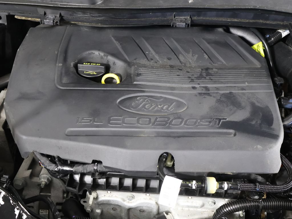 Used 2019 Ford Escape SEL AWD/4WD image 13