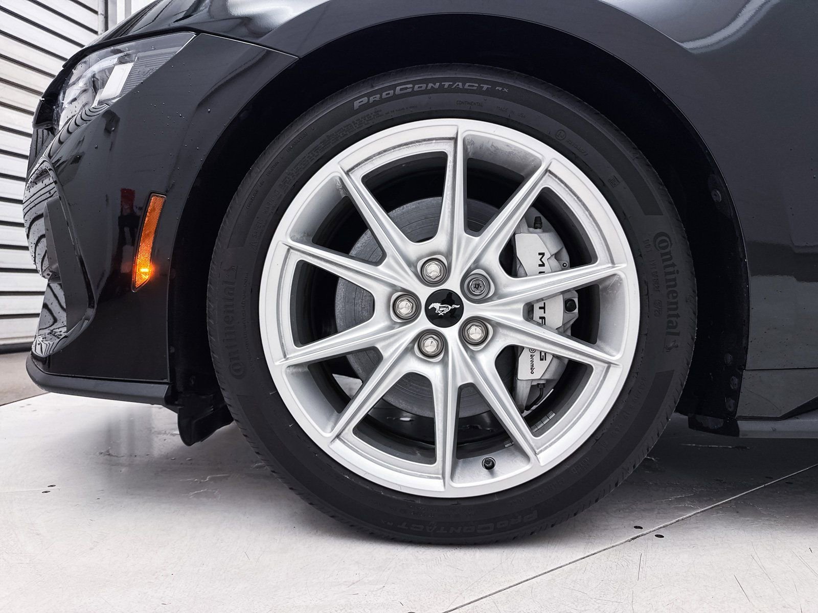 Used 2024 Ford Mustang GT Premium image 14