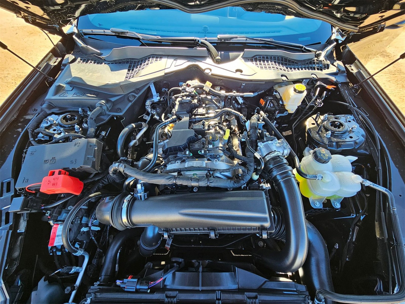 New 2026 Ford Mustang Coupe w/ Mustang Nite Pony Package image 20