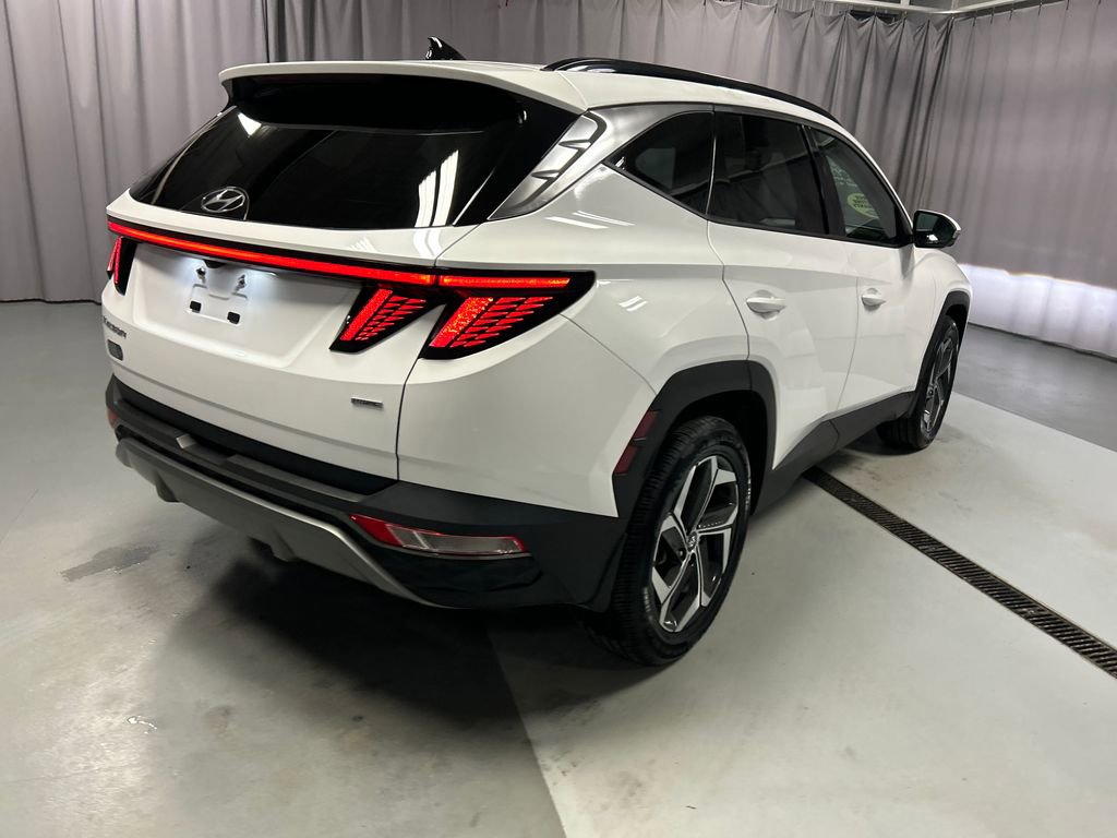 Used 2023 Hyundai Tucson Limited image 7