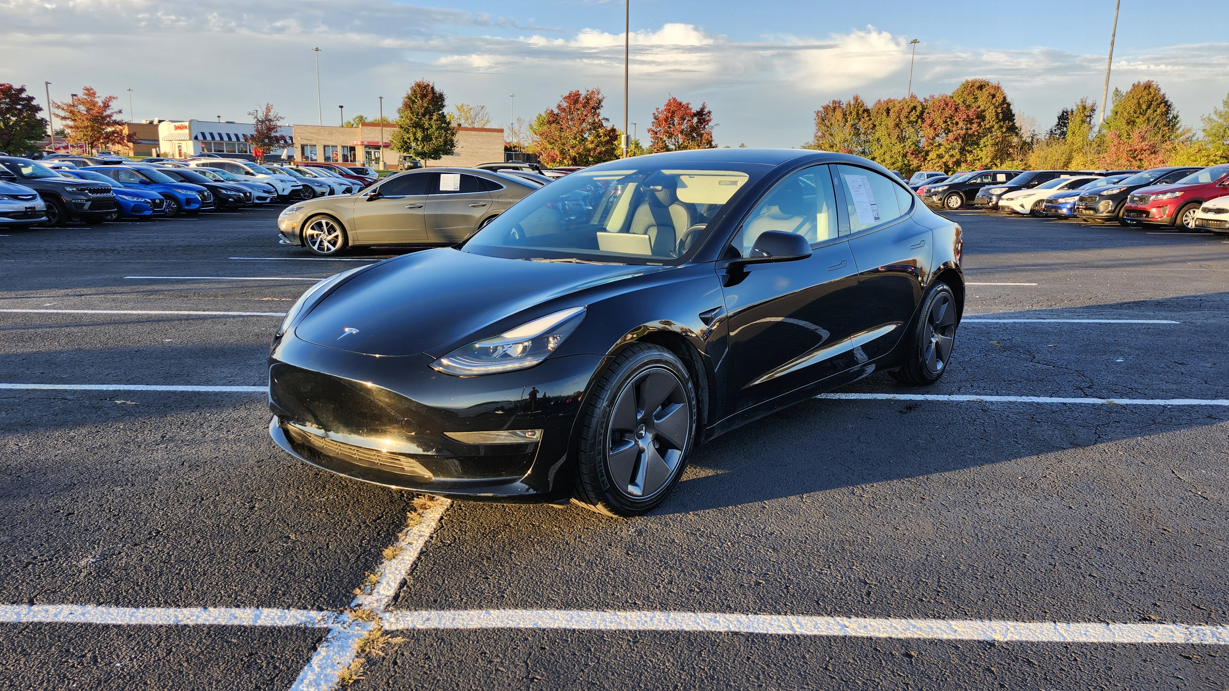 Used 2023 Tesla Model 3 Standard Range image 7
