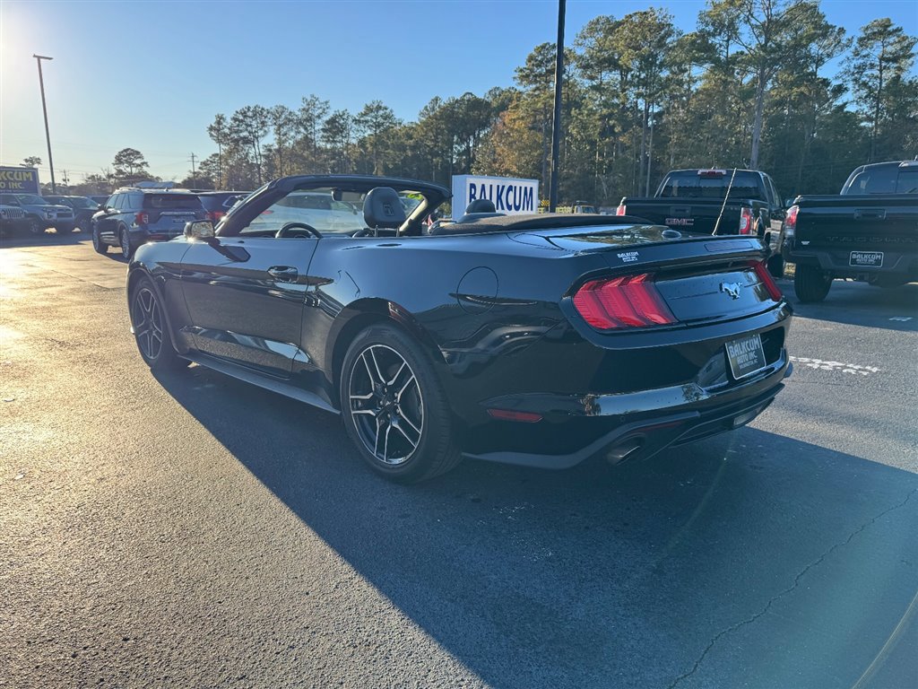 Used 2023 Ford Mustang Premium image 6