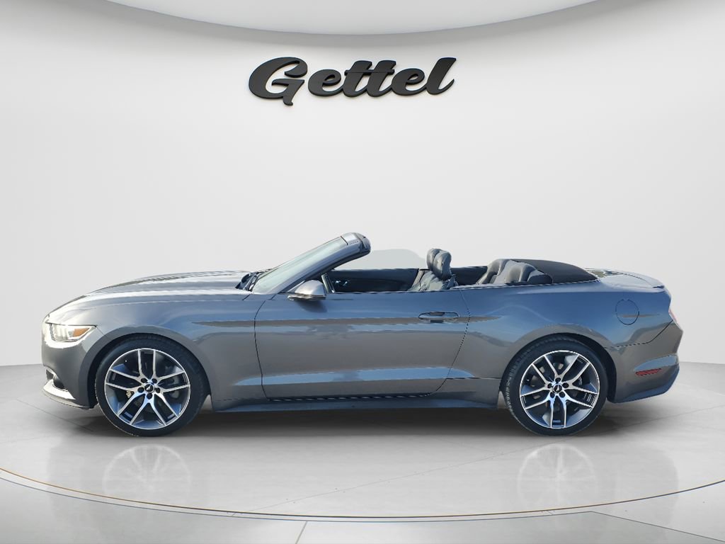 Used 2015 Ford Mustang Premium w/ Equipment Group 201A RWD image 9