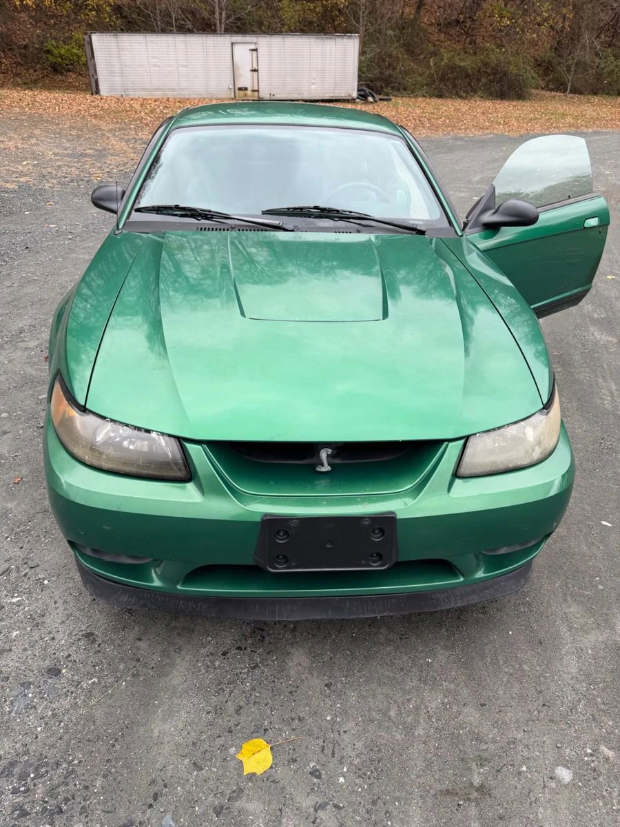 Used 1999 Ford Mustang Cobra image 15