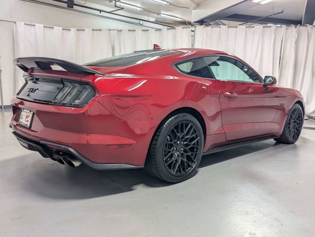 Used 2021 Ford Mustang GT w/ Equipment Group 301A RWD image 3