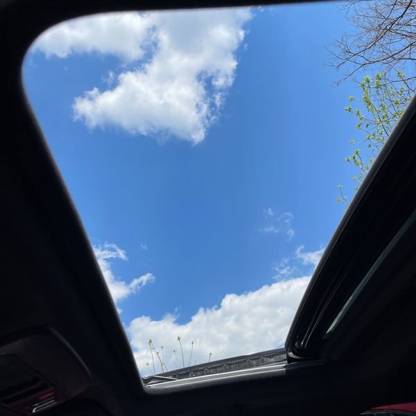 Used 2019 Subaru WRX Premium AWD/4WD image 11