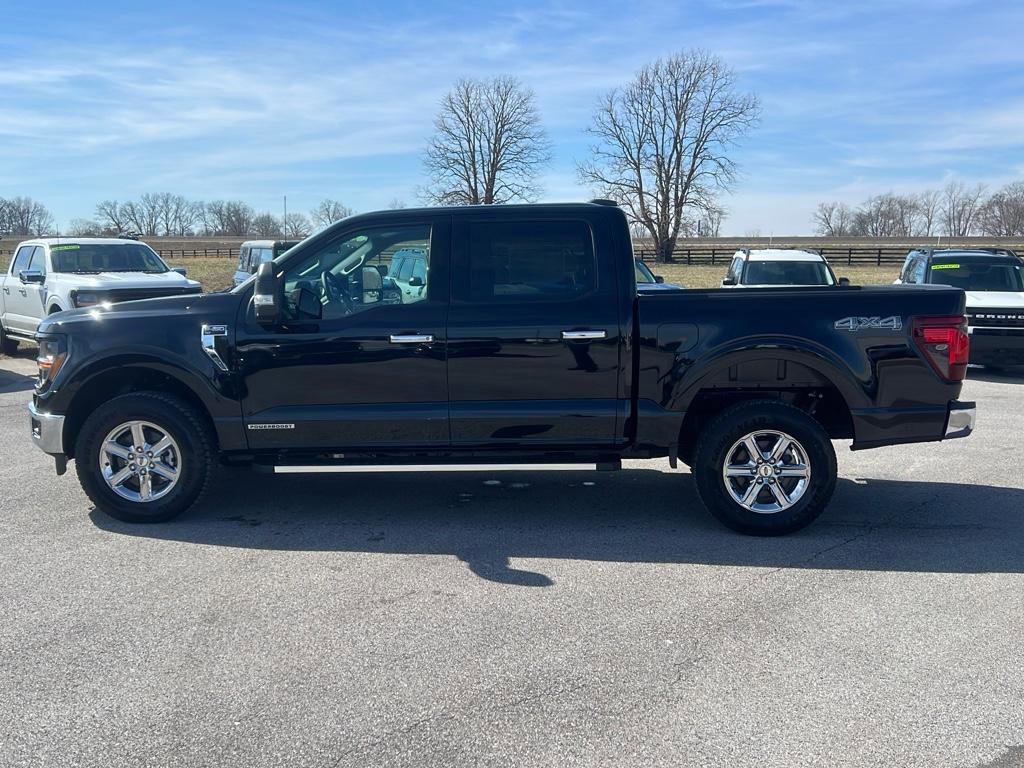 New 2025 Ford F150 XLT w/ Equipment Group 301A Standard image 8