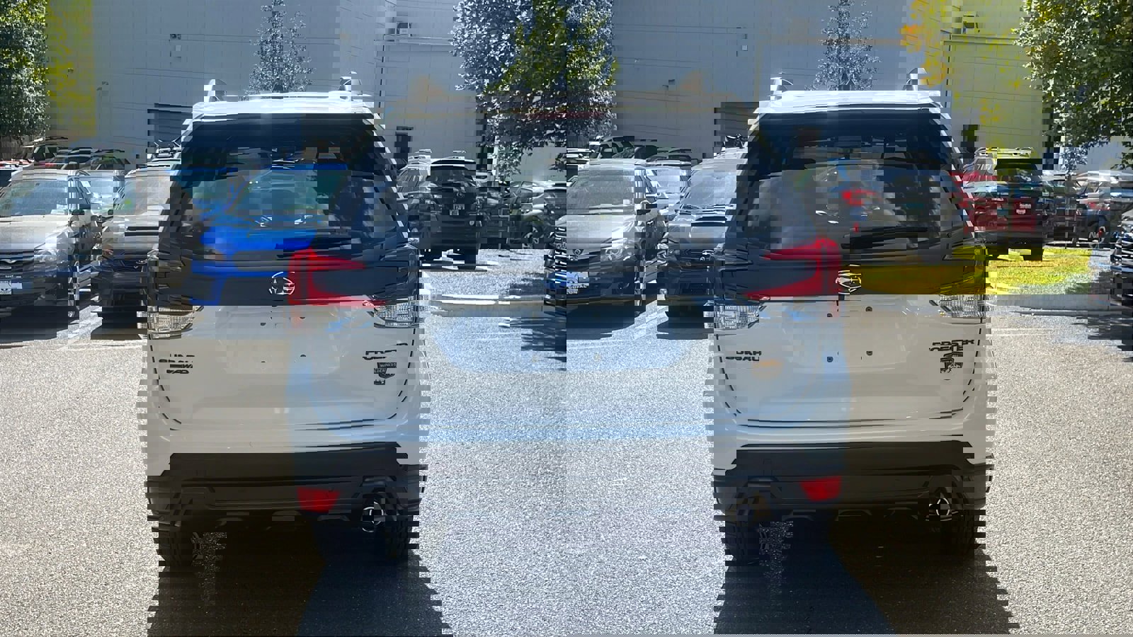 Used 2024 Subaru Forester Wilderness image 6