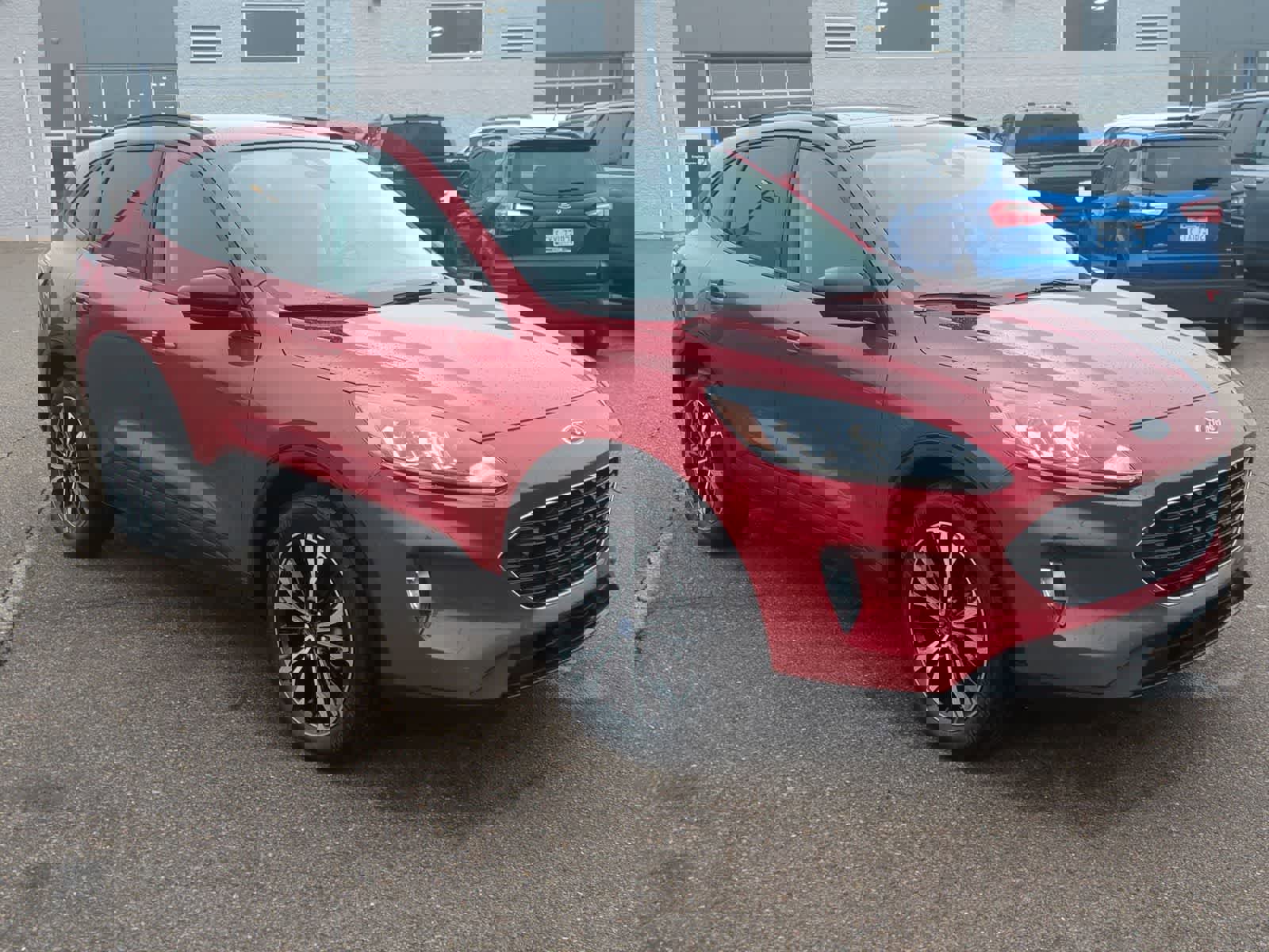 Used 2022 Ford Escape SEL w/ SEL Stealth AWD Package image 2