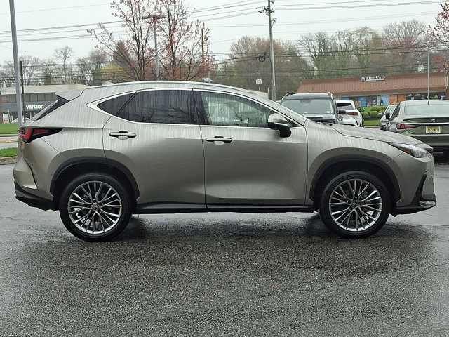 Certified 2026 Lexus NX 350 AWD w/ Cold Area Package image 7