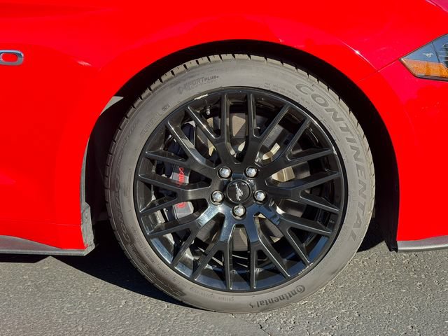 Certified 2019 Ford Mustang GT Premium w/ GT Performance Package RWD image 11