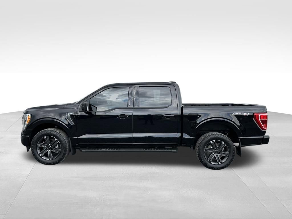 Used 2023 Ford F150 XLT w/ Equipment Group 302A High AWD/4WD image 11