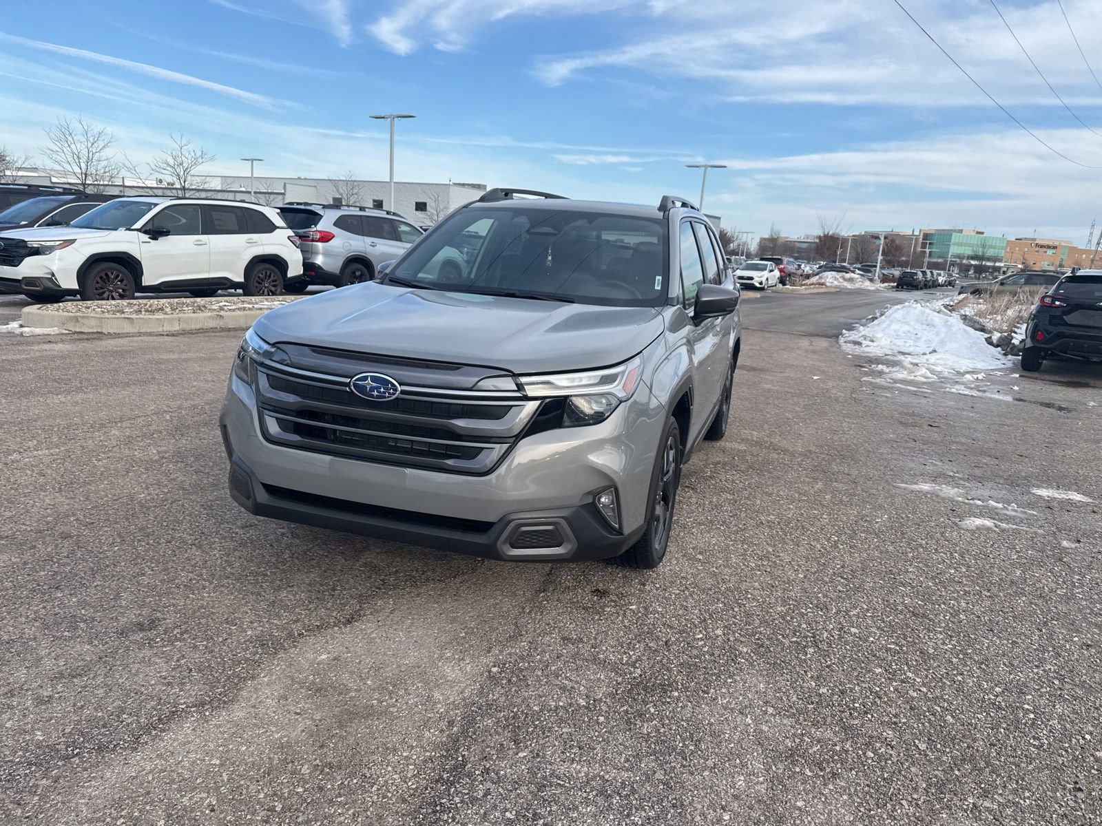 Certified 2025 Subaru Forester Limited image 5
