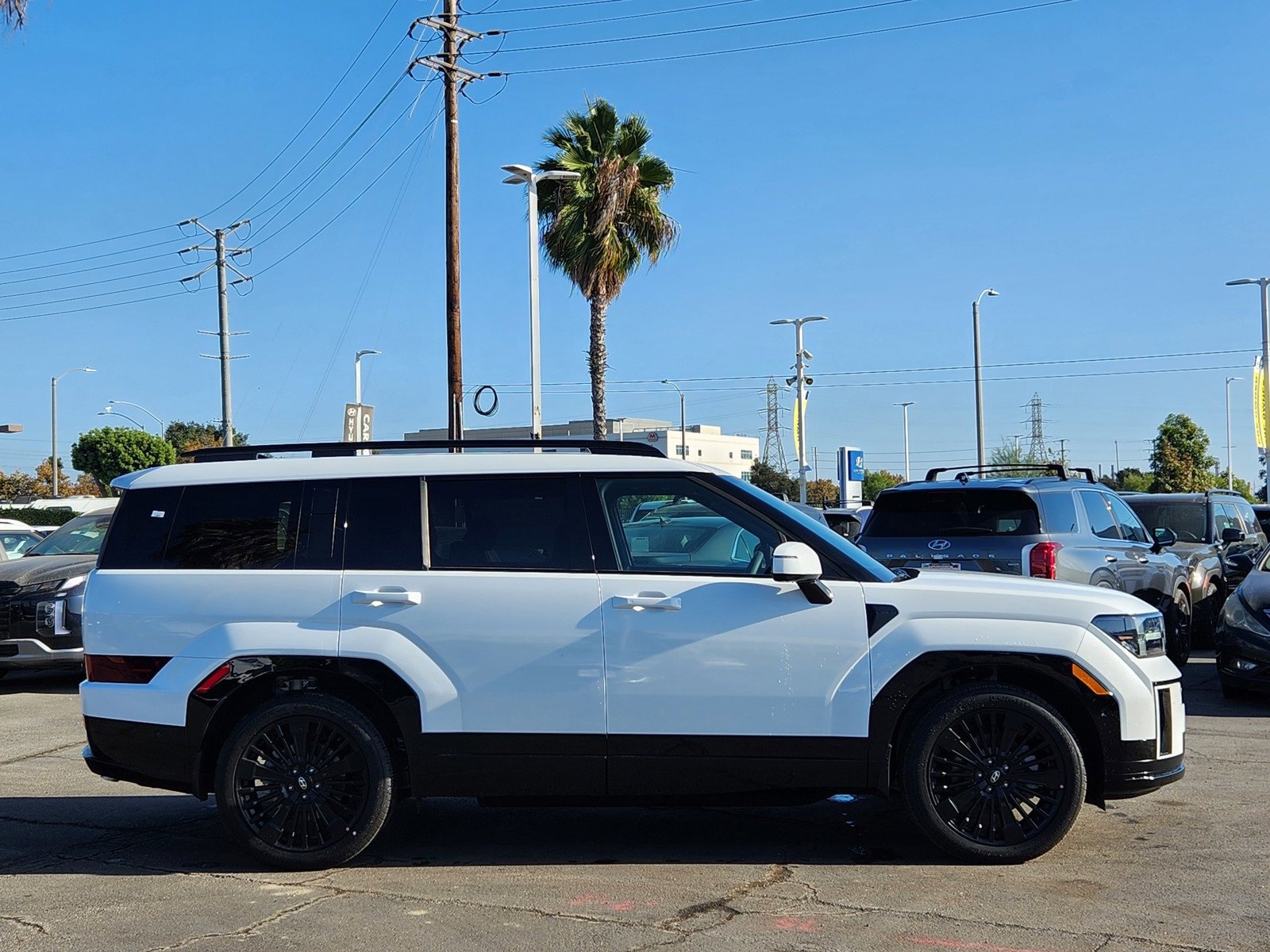 New 2026 Hyundai Santa Fe Calligraphy image 8