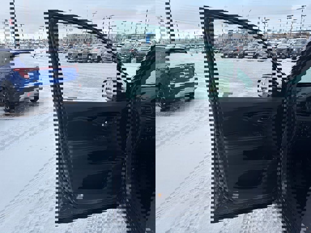 Used 2019 Honda Pilot Elite image 11