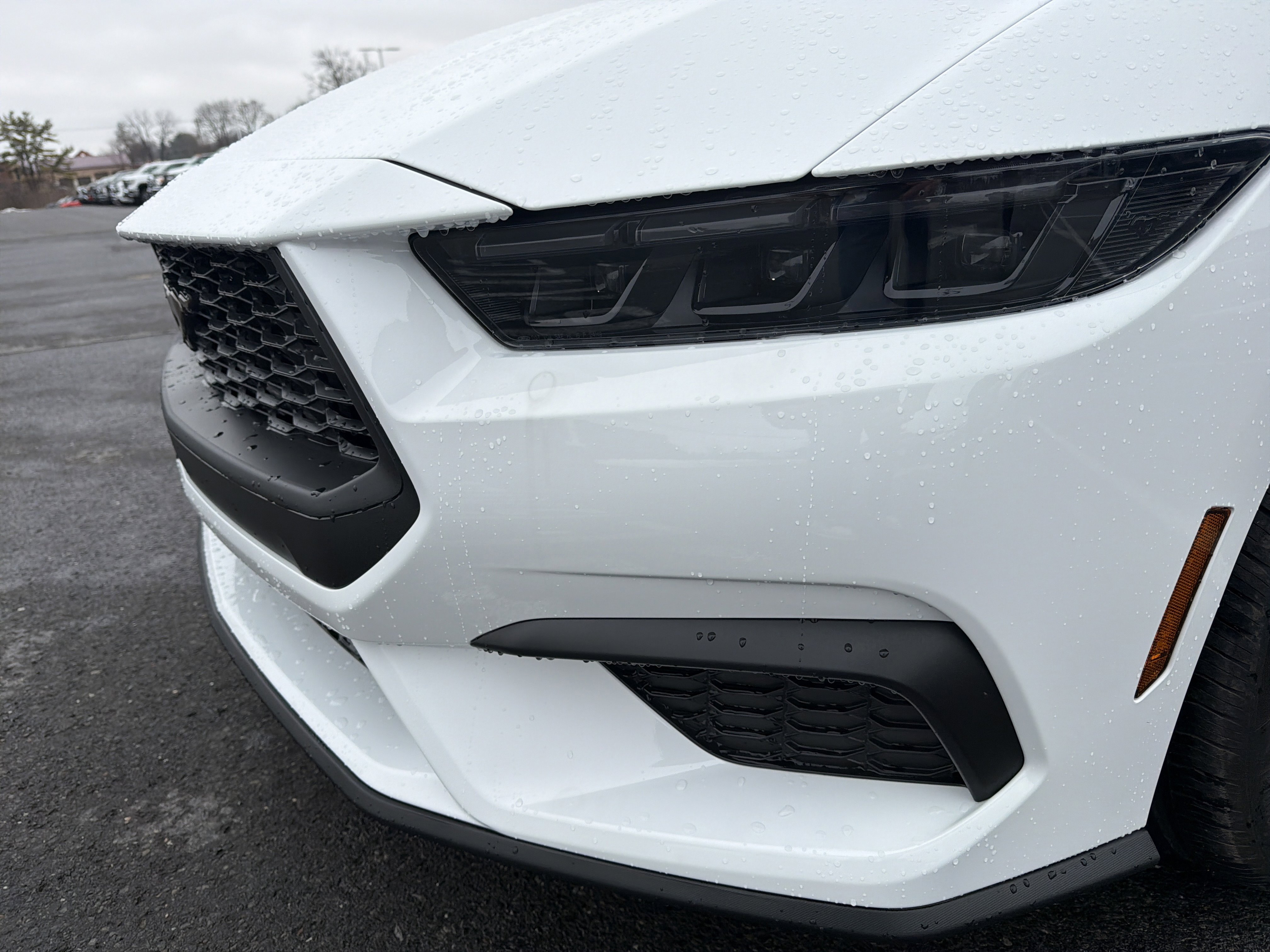 Used 2026 Ford Mustang EcoBoost image 10