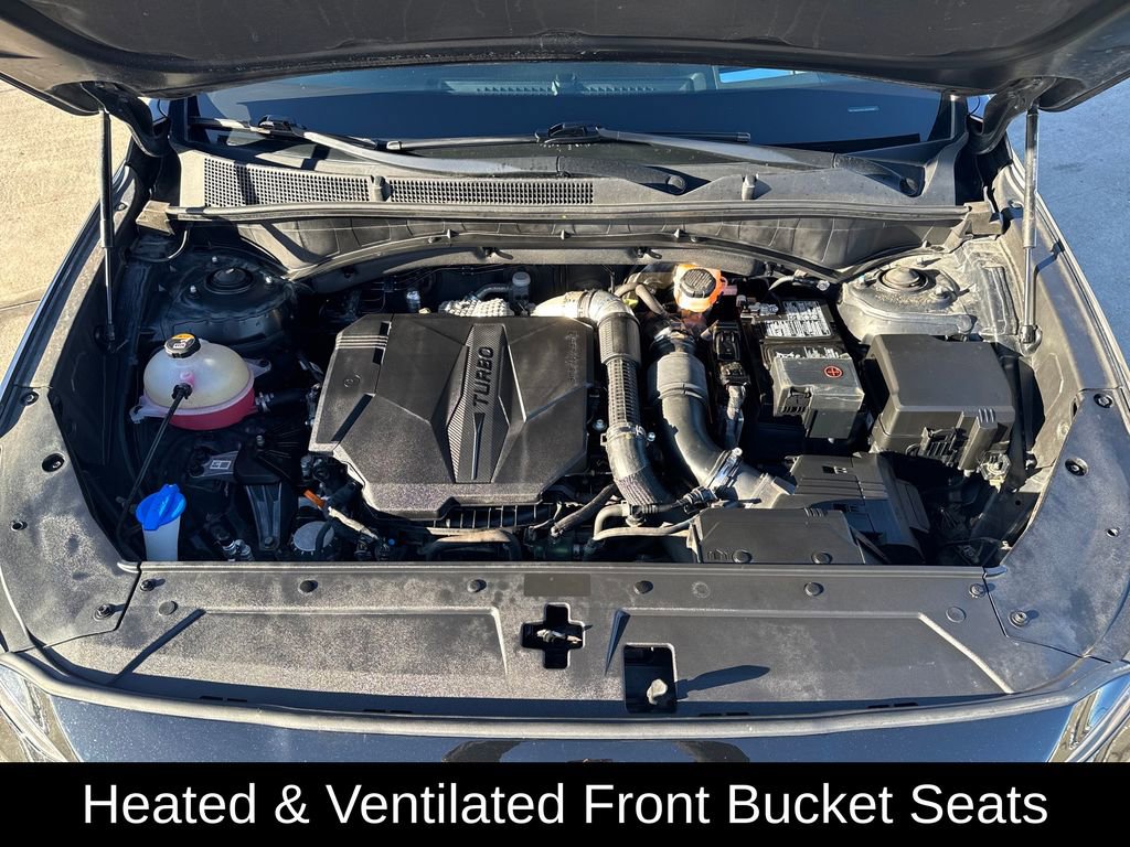 Used 2023 Hyundai Santa Fe Calligraphy w/ Cargo Package image 23