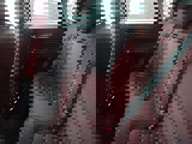 Used 2024 MAZDA CX-5 Carbon Edition image 7