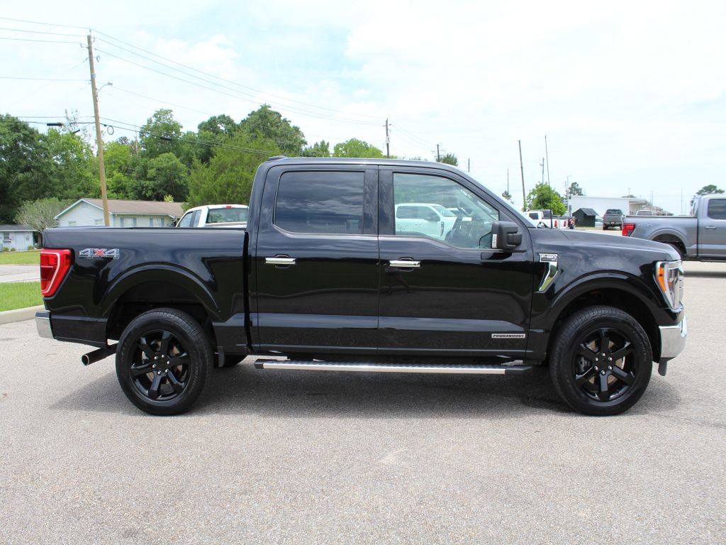 Used 2023 Ford F150 XLT w/ Equipment Group 302A High AWD/4WD image 5