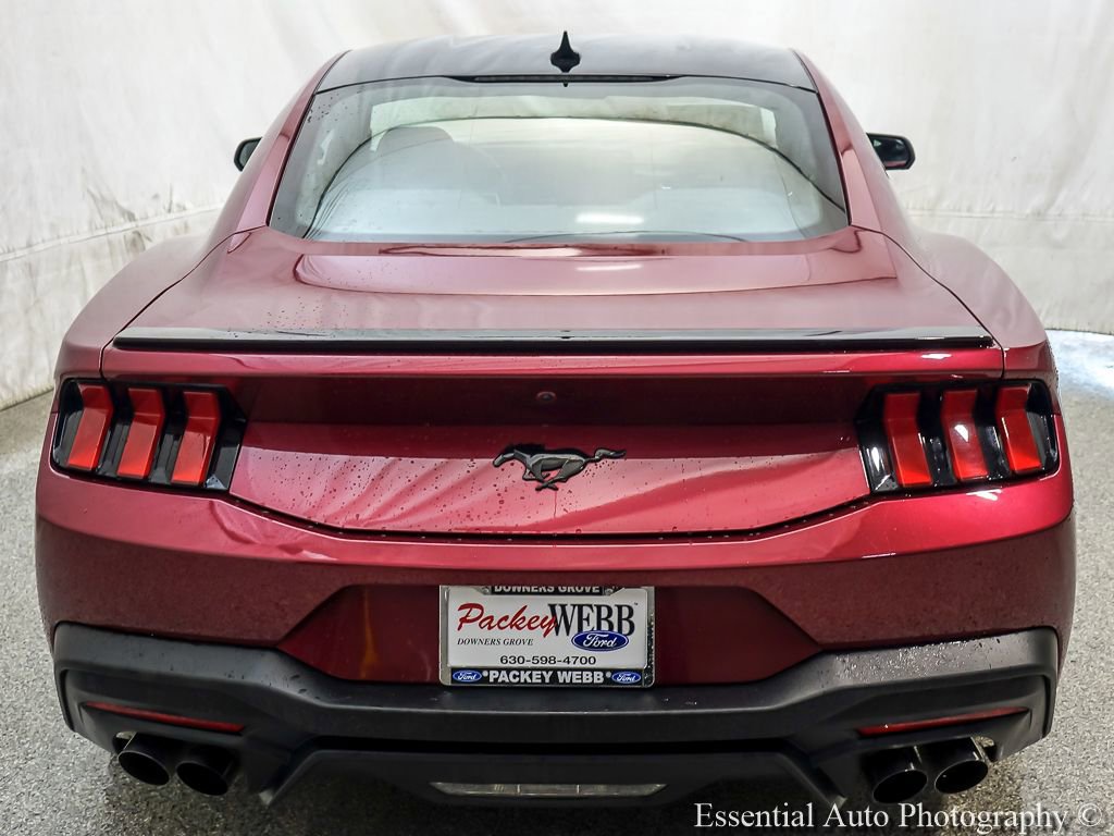 Used 2025 Ford Mustang Premium w/ Mustang Nite Pony Package RWD image 8