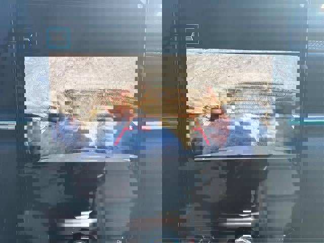 New 2026 GMC Terrain Elevation w/ Elevation Premium Package AWD/4WD image 14