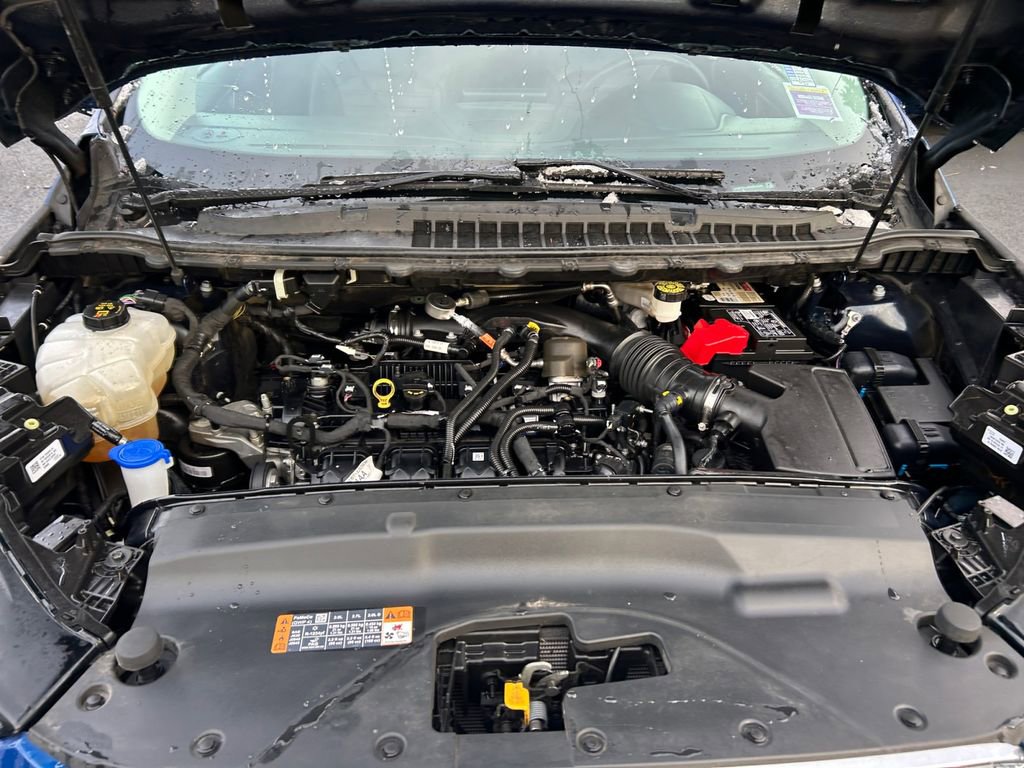 Used 2022 Ford Edge SEL w/ Cargo Accessory Package image 29