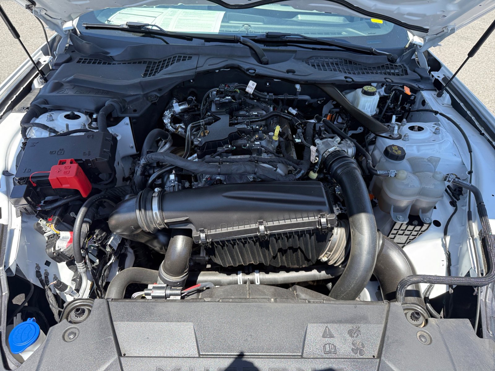 Certified 2024 Ford Mustang Premium RWD image 20