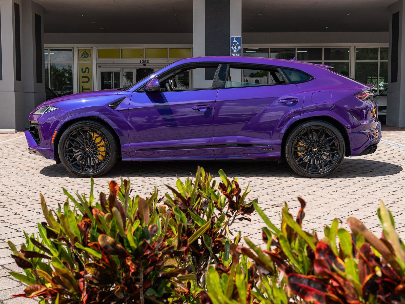 Used 2025 Lamborghini Urus SE image 27