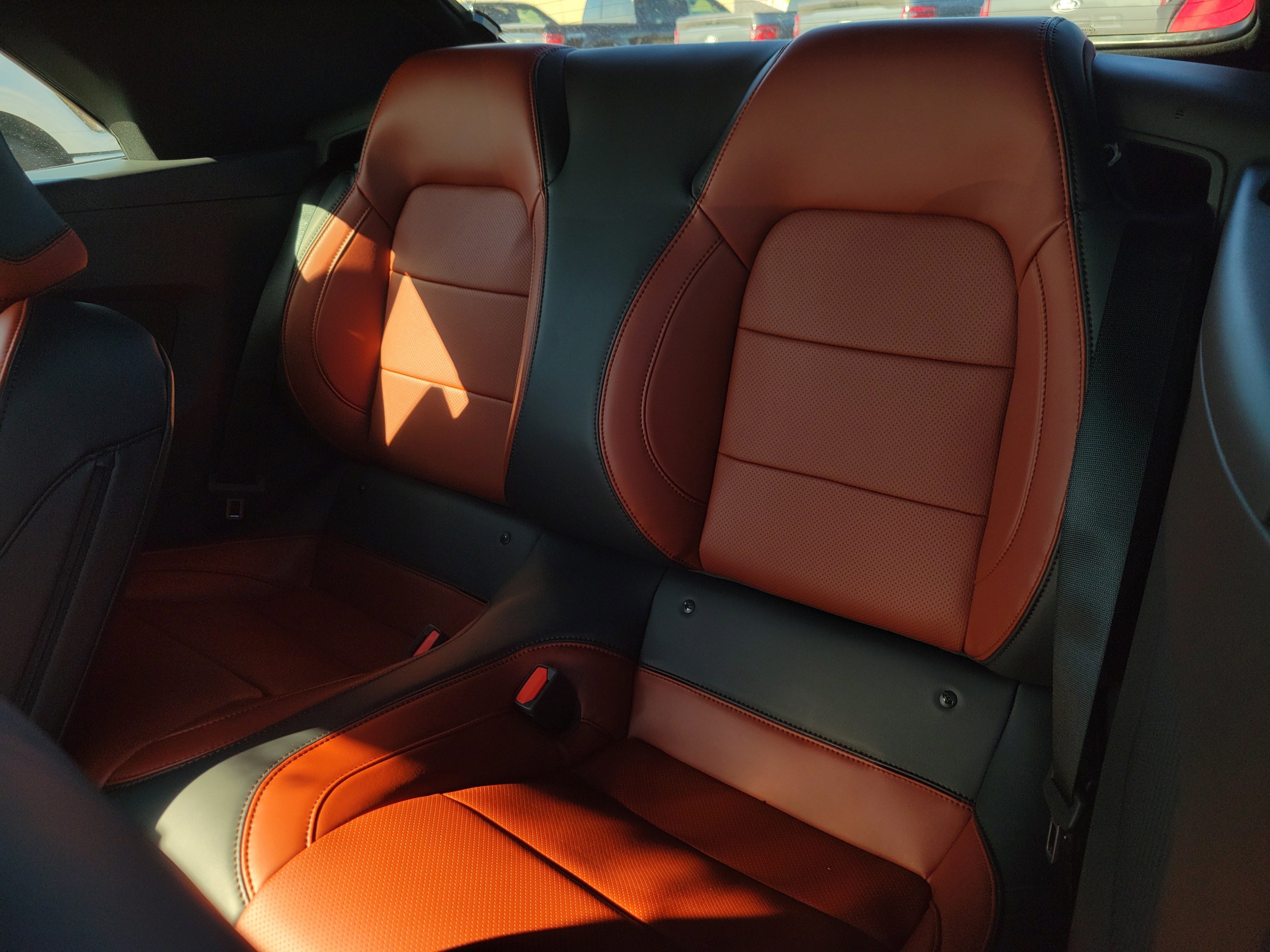 New 2026 Ford Mustang Premium w/ Mustang Nite Pony Package image 15