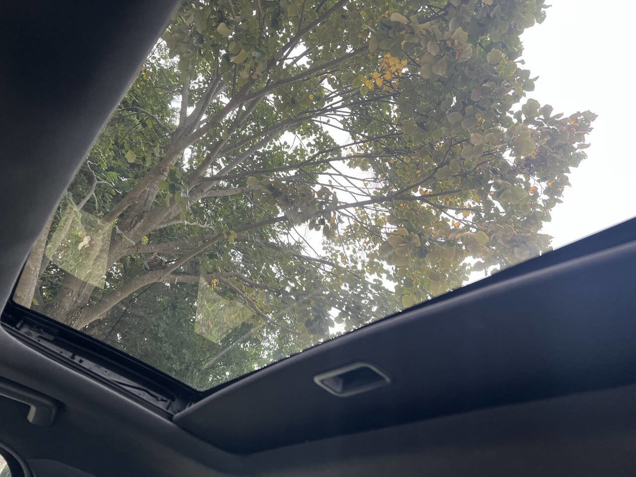 Used 2016 Ford Focus ST image 23