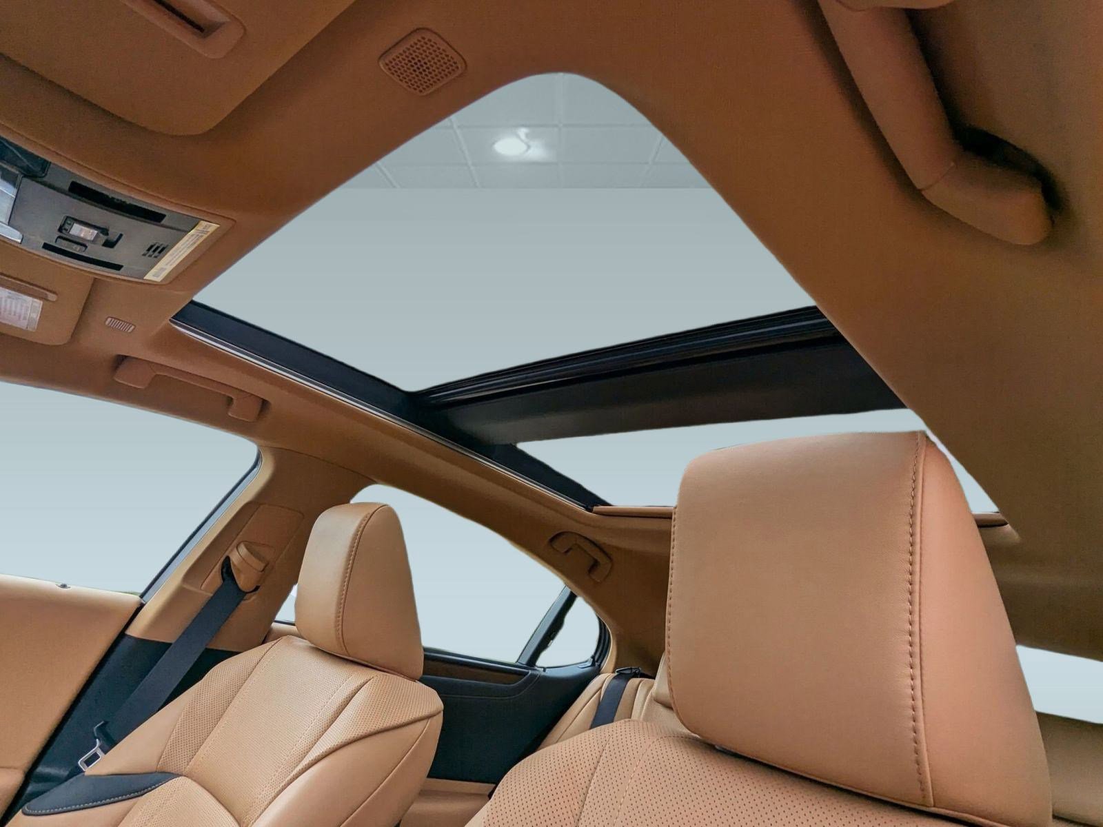 New 2025 Lexus ES 350 Ultra Luxury image 13