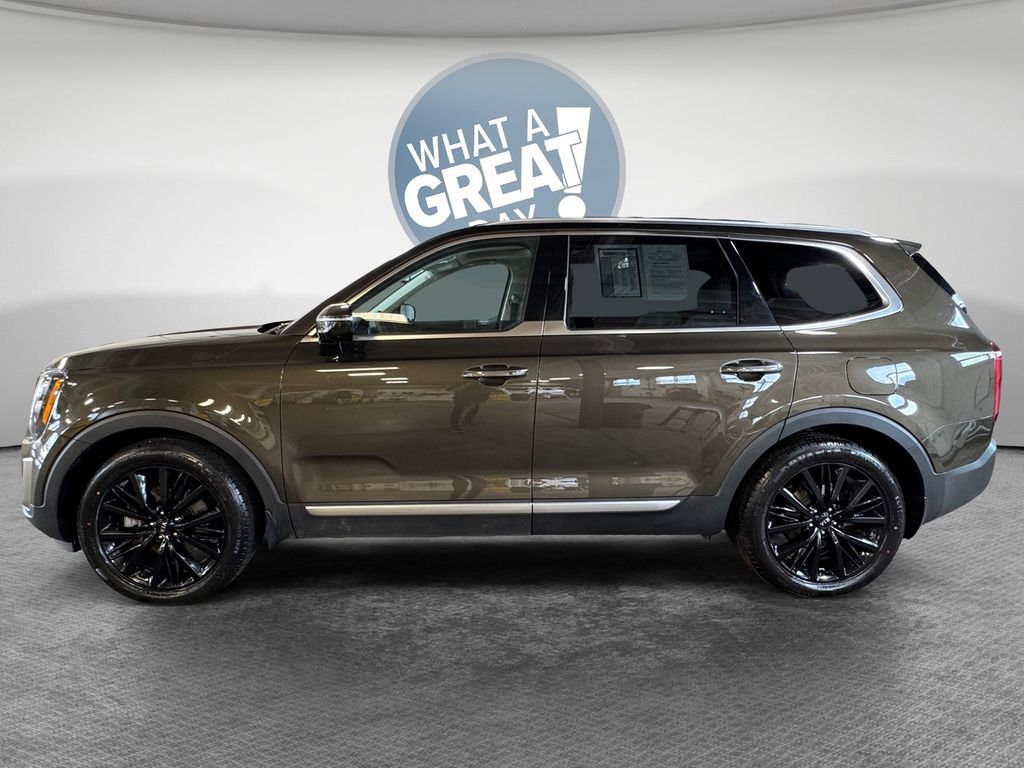 Used 2021 Kia Telluride SX w/ SX Prestige Package image 7