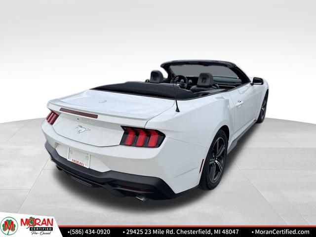 Used 2024 Ford Mustang Premium image 5