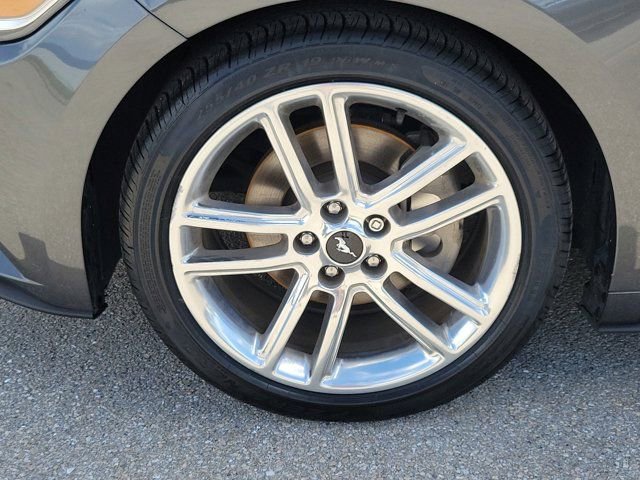 Certified 2017 Ford Mustang Premium w/ Equipment Group 201A RWD image 8